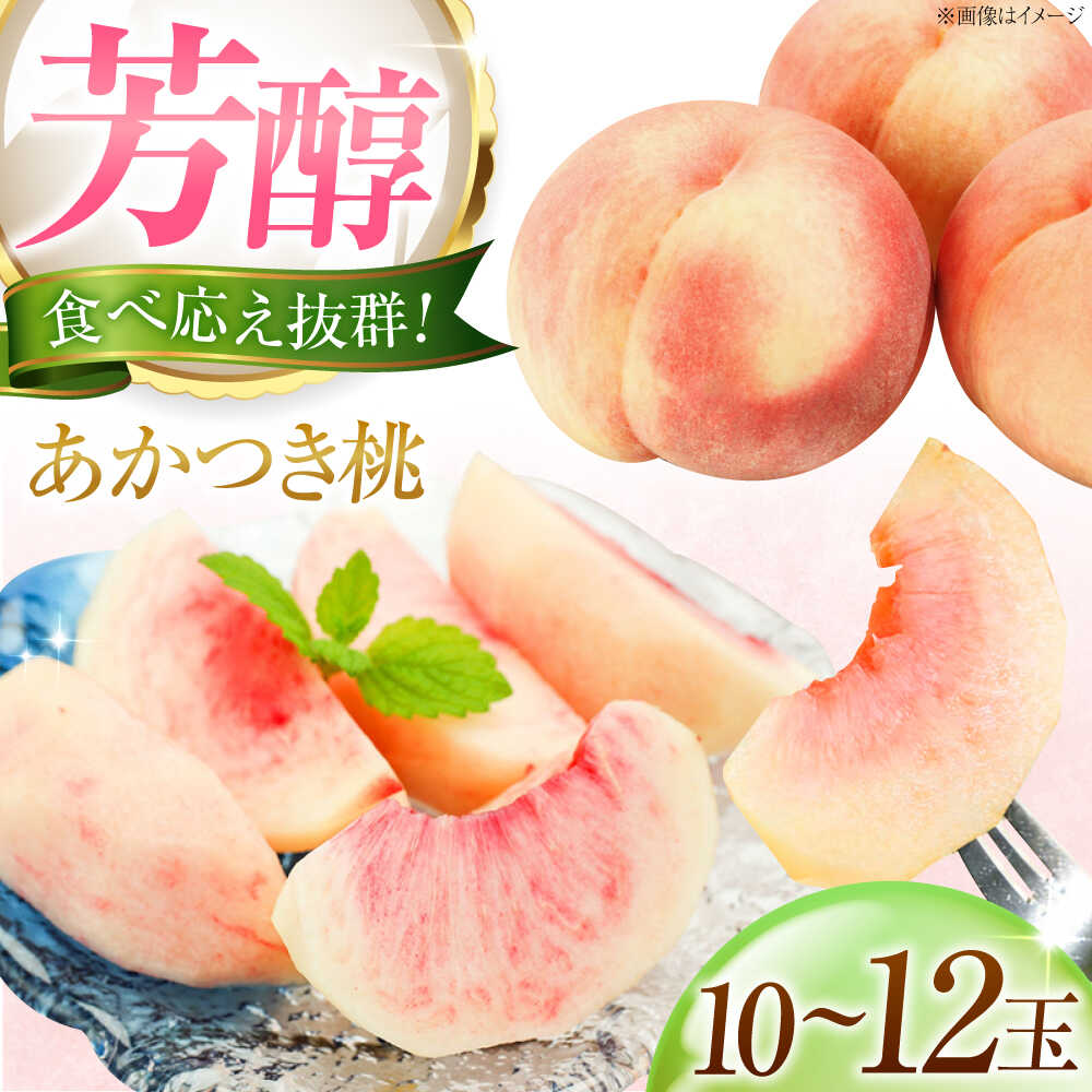 【先行予約】【ふるさと納税】藤渕果樹園のあかつき桃 10〜12玉入り 〈2026年7月〜発送〉 ／ 桃 もも あかつき桃 モモ 季節のフルーツ フルーツ ふるーつ 果物 くだもの 食品 人気 おすすめ 送料無料 ギフト 【株式会社内子フレッシュパークからり】[BKAD059] 18000円