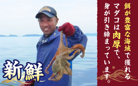 【ボイル済みの天然タコ！】ゑべす蛸3匹（計1.5kg）＜大瀬戸町漁協＞ [CAR007]