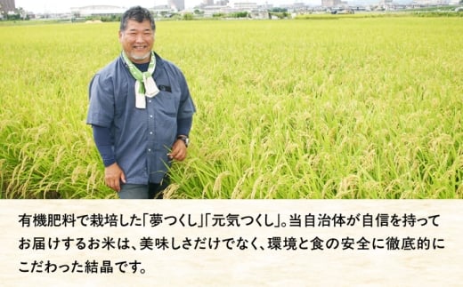 【10営業日以内に発送！】米 令和7年度産 藤の米(ふじのまい) 5kg ＜フジノ農園＞那珂川市 [GCO003] おこめ ご飯 夢つくし 元気つくし 米