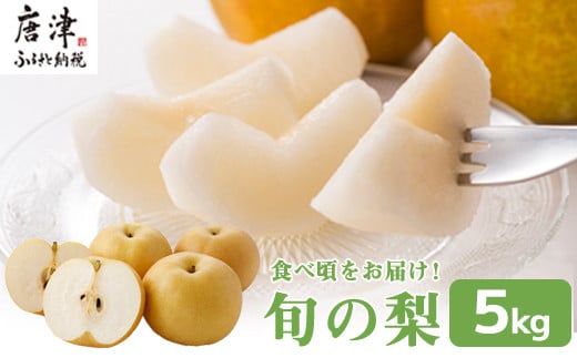 『先行予約』今が食べ頃 特栽 旬の梨5kg【令和7年の夏ごろの発送】和梨 幸水 豊水 新高 あきづき 愛宕 果物 フルーツ くだもの
