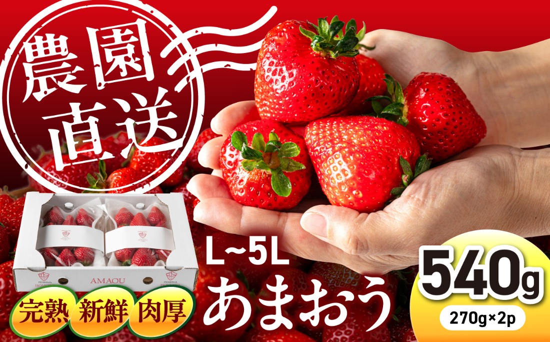 【2027年1～2月配送】【農園直送】糸島のあまおう 270g×2パック (サイズおまかせL〜5L) 糸島市 / 磯本農園 / TANNAL [ATB003] いちご 苺 イチゴ