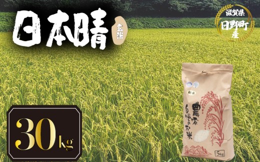 【 令和7年産 米 30kg 】 日本晴 米 玄米 国産 滋賀県 日野町 農家直送 お米 おこめ こめ 産地直送 ふるさと納税