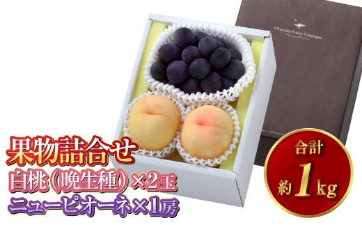 果物詰合せ 合計約1.0kg（白桃（晩生種） 2玉・ニュー ピオーネ 1房）岡山 特産 桃 ニューピオーネ 白桃 セット 詰め合わせ 贈り物 ギフト【2026年8月下旬～9月下旬発送予定】