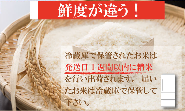 R7年度産（令和７年度産） 佐賀ブランド 米「 さがびより 」10kg（5kg×2袋）ほたるの郷 直売所 精米 白米 １０キロ 単位 もちもち 食感 冷めても 美味しい お一人様 ご家族用 ランキング 特A 評価