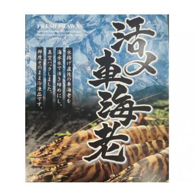 ふるさと納税 中種子町 活き〆冷凍車海老 ソフトシェル大 300g×1パック(10〜16尾入り) |  | 01