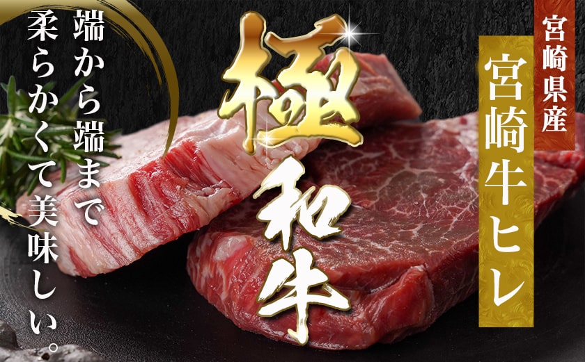 宮崎牛ヒレステーキ(150g×2枚)_AC-N406