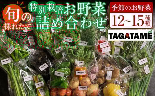 
            特別栽培 旬の採れたて 12～15種類お野菜詰め合わせセット TAGATAME タガタメ【野菜 特別栽培 大容量 有機野菜 農薬不使用 無農薬】
          