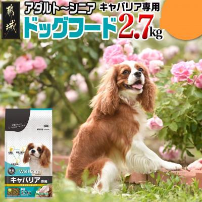 ふるさと納税 都城市 ドッグフード(キャバリア専用)アダルト〜シニア2.7kg