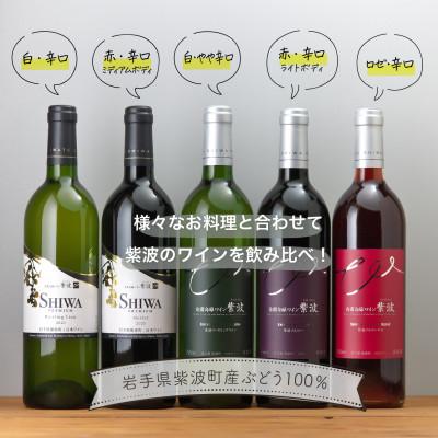 ふるさと納税 岩手県 自園自醸ワイン紫波 辛口ワイン5本セット |  | 01
