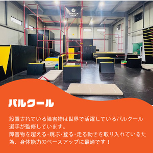 ゴリラパーク 体験チケット 高校生 大学生 チケット体験チケット割引チケット割引券