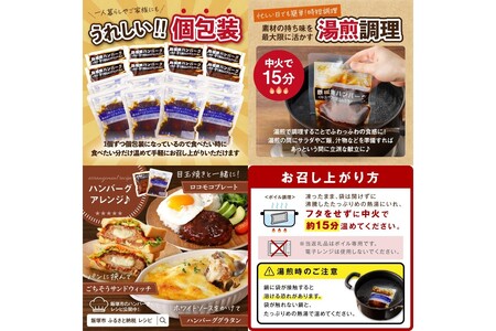 デミソースのハンバーグ2種セット（プレーン8個＆チーズ8個）計16個【隔月定期便(計6回発送)】【J05-001】飯塚市 人気 濃厚 ハンバーグ チーズハンバーグ