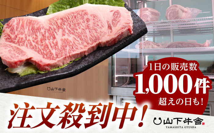 佐賀牛 サーロイン ステーキ 600g【山下牛舎】 [HAD027] 肉 牛肉 サーロインステーキ 焼肉 和牛 焼肉 焼き肉