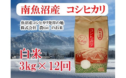 
                  【令和7年産】【定期便 南魚沼産】コシヒカリ 白米3kg×12回【定期便 銘柄米 ブランド米 精米 こしひかり コシヒカリ 魚沼産 新潟米 産地直送 お米 米 こめ コメ ご飯 御飯 ごはん】
                