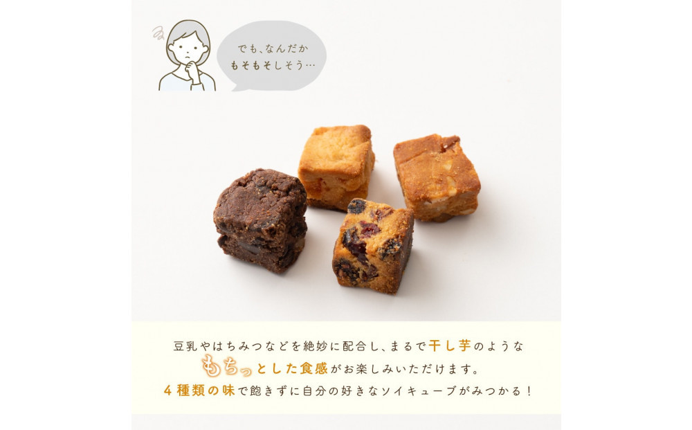 ソイキューブ 3種のベリー 1kg(100g×10袋)