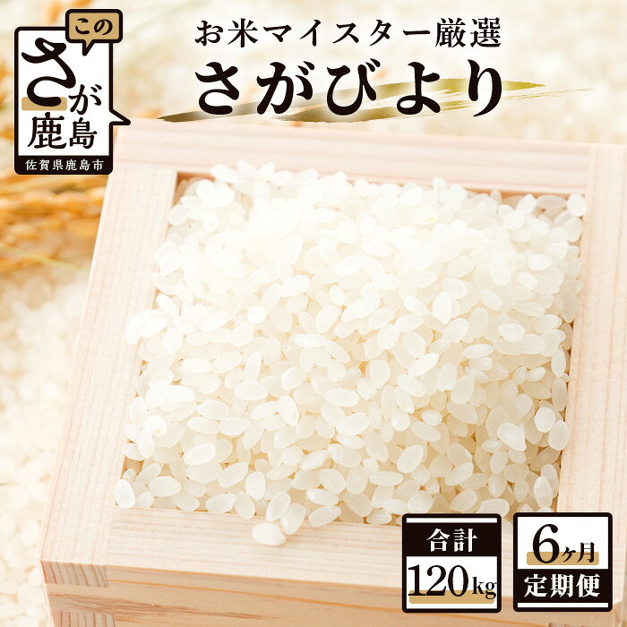【ふるさと納税】【6ヶ月定期便】鹿島市産 さがびより 白米 20kg (10kg×2袋) ×6回 定期便 6か月 《合計120kg》 合計6回発送 お米 米 精米 国産 九州産 佐賀県 鹿島市 送料無料 R-1