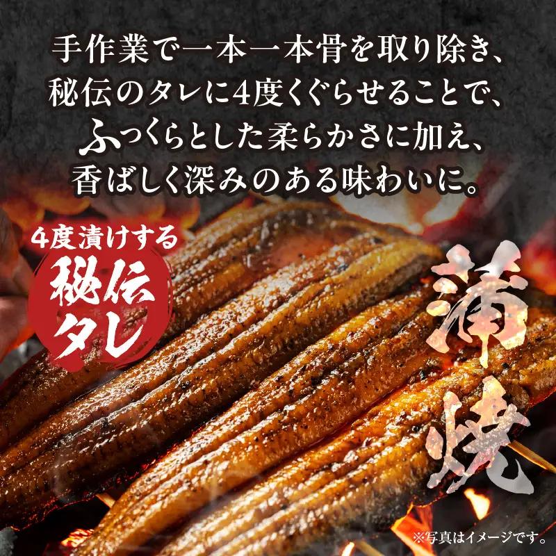 うなぎ 蒲焼 うなぎ[国産 2尾 肝焼き]