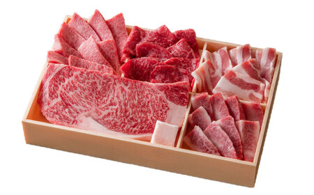 佐賀県産牛・豚 焼肉セット550g （5種） / 佐賀県 / 一般社団法人 龍乃[41ANAC090]