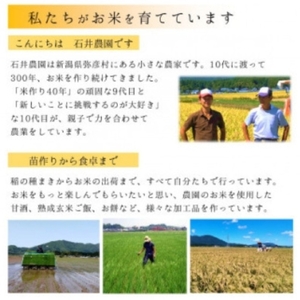 乾燥米こうじ 500g×5袋 新潟県認証特別栽培米 コシヒカリ使用 | 米麹