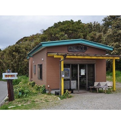 【先行予約　2025年5月末以降発送】安西農園の驚くほどに甘いトウモロコシ 20本【配送不可地域：離島・北海道・沖縄県・東北・中国・四国・九州】