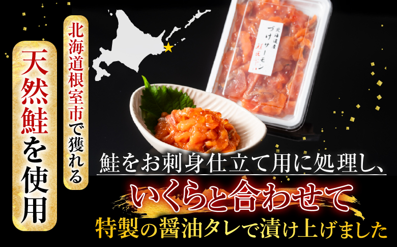 【北海道根室産】<鮭匠ふじい>漬けサーモン丼の具16P C-42025