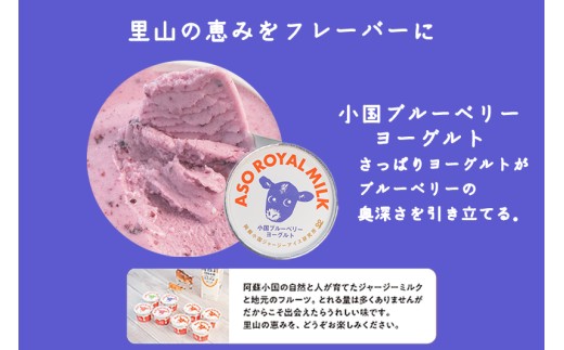 【ASO ROYAL MILK】阿蘇小国ジャージーアイス 4種詰め合わせ 100ml 16個 王様ミルク 小国ゆず 小国ブルーベリーヨーグルト 小国ラズベリー 各2個 小国ジャージー牛乳 ジャージーミ