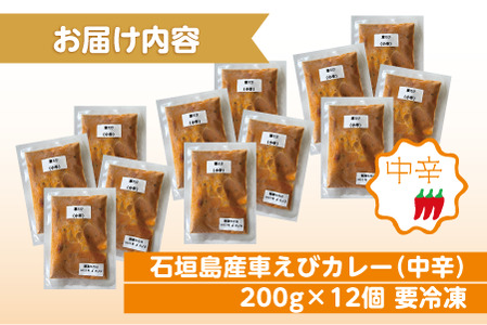 石垣島産車えびカレー（中辛）【冷凍 12食】石垣島のカレー専門店が作るご当地カレー　SK-3