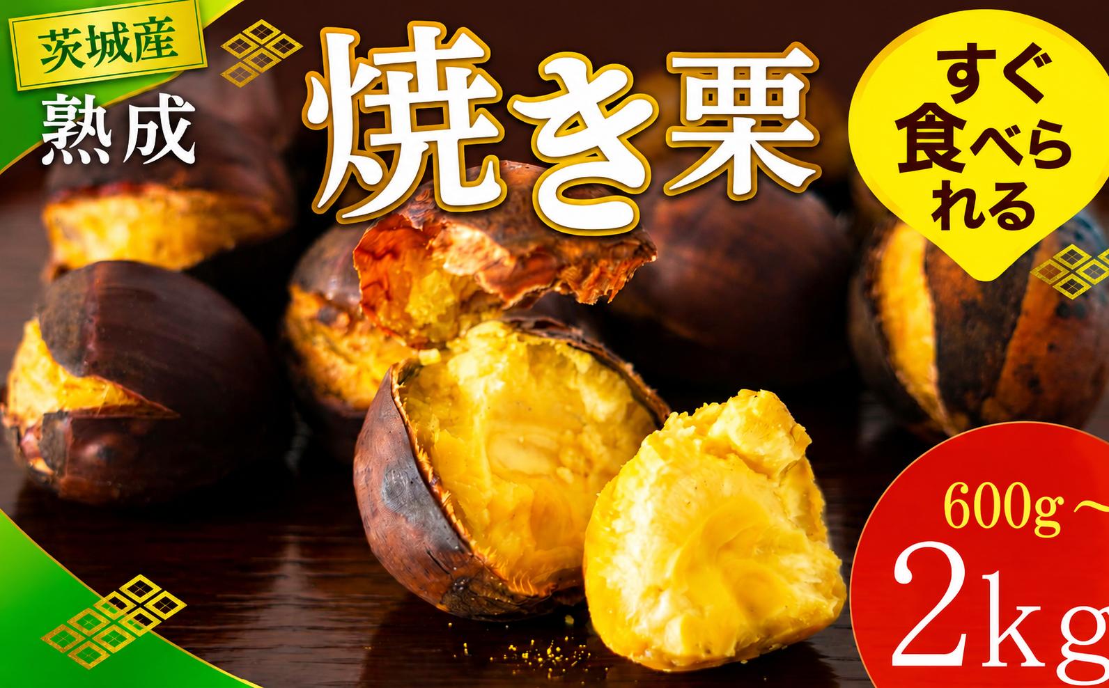 
                  【先行受付】 栗 焼き栗 選べる容量 3袋 / 5袋 / 10袋 600g ~ 2kg 大粒 令和8年産 完熟 栗 くり クリ kuri 栗ごはん 栗スイーツ 2026年度産 国産 味覚 焼きぐり やきぐり 和栗 わぐり 先行受付 秋の味覚 マロン 生くり 甘栗 焼き栗 ゆでぐり 料理 和菓子 炊き込みご飯 ごはん 栗きんとん 贈答 ギフト 旬  秋 冬 正月 おせち 茨城県 筑西市 関東
                