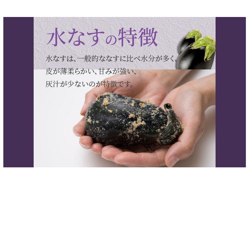 特選水なす浅漬け 11個入り【新鮮 野菜 泉佐野産 茄子 やさい 高評価 数量限定】 020C570