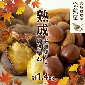 【 吉原農場 の 完熟栗 】 熟成 生栗 1kg 3Lサイズ ・ 焼き栗 2袋 セット
