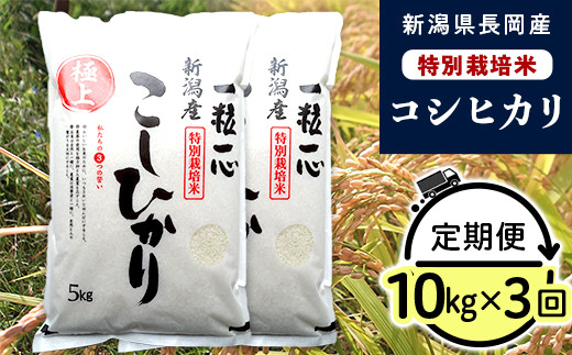 48-8N103【3ヶ月連続お届け】新潟県長岡産特別栽培米コシヒカリ10kg