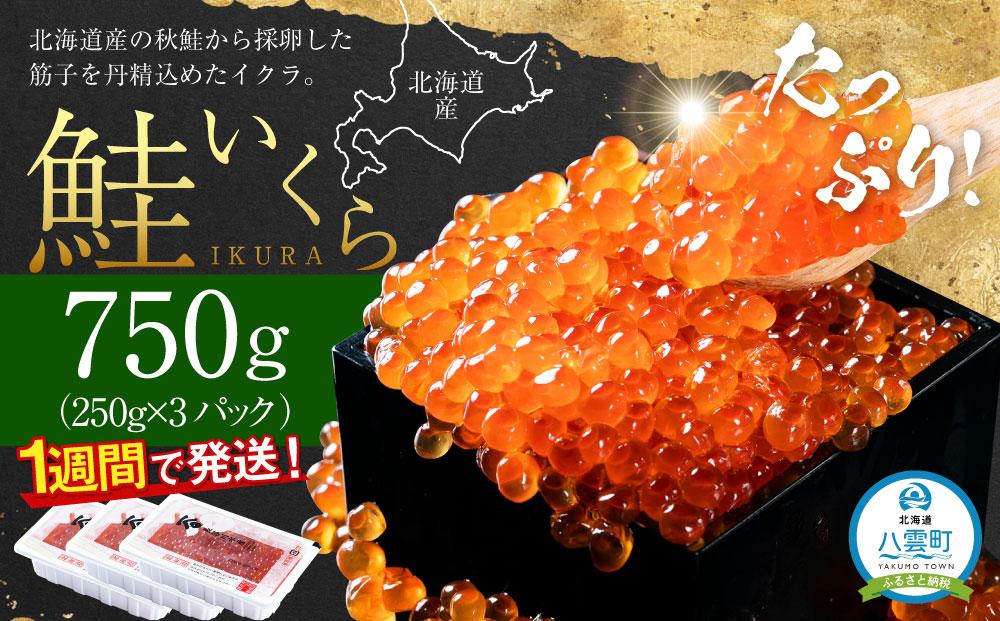 北海道産 鮭いくら醤油漬　750g (250g×3パック) 【 いくら醤油漬け いくら醤油漬 北海道 小分け 鮭 海産物 魚介類 水産物応援 水産物支援 年内発送 年内配送 】