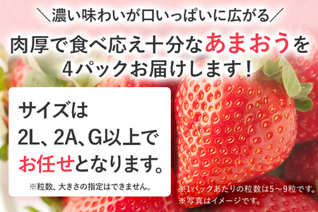 産地直送厳選あまおう 4パックセット（G,2L,2A規格以上）【数量限定】いちご フルーツ 果物 あまおう 約270g×4パック 福岡 苺 イチゴ 【発送時期2025年1月上旬～2025年月4月上旬】