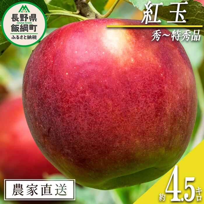 【ふるさと納税】 りんご 紅玉 秀 〜 特秀 4.5kg 中村ファーム 沖縄県への配送不可 令和7年度収穫分 長野県 飯綱町 〔 信州 果物 フルーツ リンゴ 林檎 長野 16000円 予約 農家直送 〕発送時期：2025年9月中旬〜