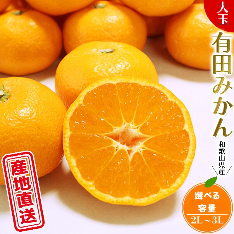 【ふるさと納税】 有田みかん 先行予約 ＼ みかんの名産地 和歌山県産／ 農家直送 大玉有田みかん 【選べる容量】 【5kg 10kg】 (2L〜3L) ひとつひとつ手選別で厳選【2025年11月下旬頃～2026年1月中旬頃順次発送予定】 みかん 温州みかん 柑橘 果物 くだもの フルーツ