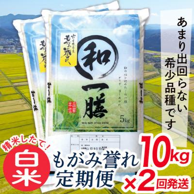 ふるさと納税 最上町 【毎月定期便】買い忘れなしで美味しいもがみ誉れ10kg(白米)が届く全2回