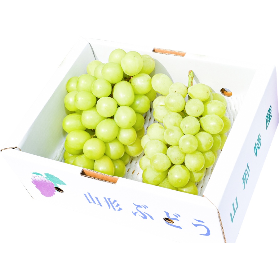 ＜ジオンジファーム＞大粒ぶどう2房（シャインマスカット＆品種お任せ）計1kg以上