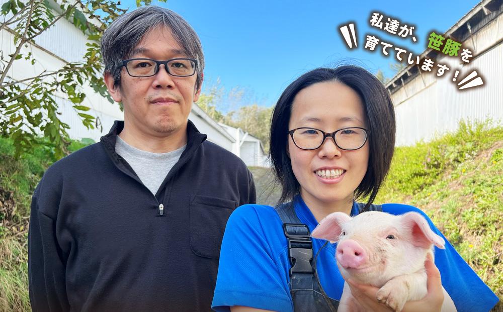 北海道産牛と笹豚の煮込みハンバーグ250g×6個セット_00121