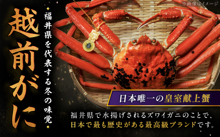 【先行予約/11月18日より順次配送】越前がに 600g×2杯 茹で 福井県産ズワイガニ / かに カニ 蟹 越前ガニ ズワイガニ ボイル / 小浜市 / 一進わかさ【配送不可地域：北海道・沖縄・離島