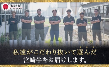宮崎牛【赤身霜降り】ロースステーキ200g×2枚〔18-6502〕_(都城市) 牛肉 宮崎牛 ロースステーキ400g(200g×2) ステーキソース付き サシ入り赤身霜降り牛肉 ステーキ 鉄板焼き ギ