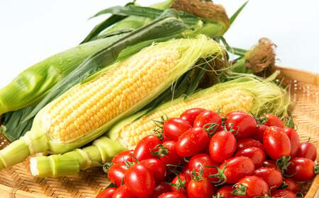 熊本県産 スイートコーン 4～5本 と フルーツトマト 約1kg 【2026年5月下旬発送開始】 野菜 やさい トウモロコシ とうもろこし コーン とまと トマト 国産