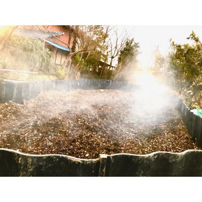 ふるさと納税 久喜市 令和7年産『てまひま米』ミルキークイーン　精米10kg(5kg×2) |  | 03