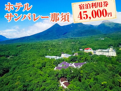 ホテルサンバレー那須 宿泊利用券 45,000円分｜宿泊 旅行 チケット 宿泊券 旅行券 旅 リラックス ファミリー 温泉 露天風呂 国内旅行 那須 栃木県 那須町〔H-13〕※着日指定不可