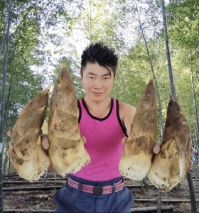 0010-69-05 タケノコ王の青果たけのこ 約2～3kg 風岡たけのこ園 【3月以降順次発送予定】