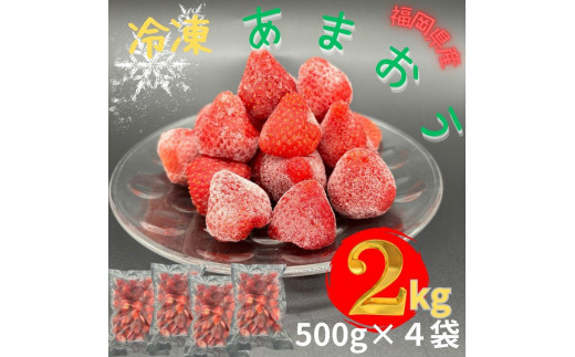【福岡スイーツ自然の贈り物】かわいい化粧箱入り！福岡県産冷凍あまおう合計2kg(500g×4袋)【イチゴ いちご 苺 あまおう 果物 くだもの 博多名物 冷凍 スイーツ 贈答用 ギフト プレゼント 食品 人気 おすすめ 福岡県 大任町 BC016】