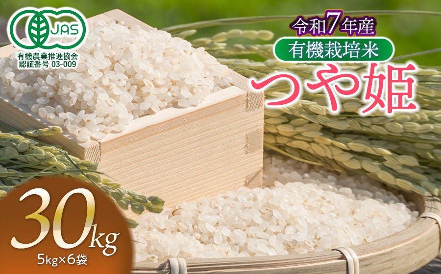 
                  【令和7年産】有機栽培米 つや姫 【白米】 30kg（5kg×6袋）　山形県鶴岡市産　出羽弥兵衛　| お米 米 コメ こめ ライス つやひめ 30キロ ご飯 ブランド米 国産 主食 お取り寄せ 返礼品
                