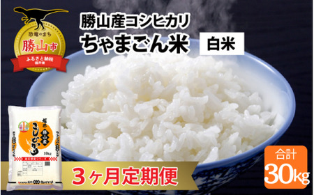 【定期便3ヶ月連続】勝山のお米コシヒカリ 精米 10kg（計 30kg） [I-010022]