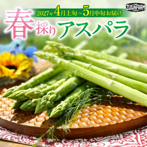 【ふるさと納税】 【先行受付】春採りアスパラガス（約1kg）／2027年4月上旬〜5月中旬お届け