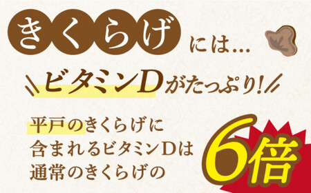 平戸の乾燥きくらげ 120g(30g×4)【KTX株式会社】[KAJ001]/ 長崎 平戸 乾物 きくらげ 木耳 小分け 