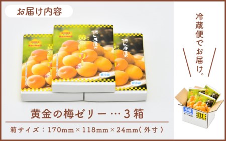 【2026年6月上旬以降発送】 夏の水羊羹！「黄金ゼリー」 250g × 3箱（計750g）  白餡と「黄金梅」ピューレ [e07-a015]