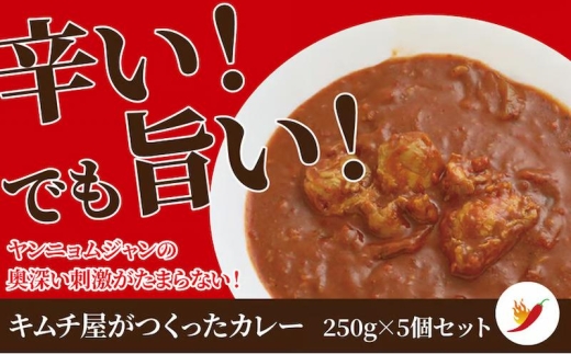 「無添加やがちゃんキムチ」キムチ屋のカレー 〈  カレー 冷凍食品 冷凍 辛 国産 鶏 玉ねぎ 自家製 ヤンニョム スパイシー ニンニク 美味しい こだわり 人気 おすすめ ギフト 〉 [№5412-0318]